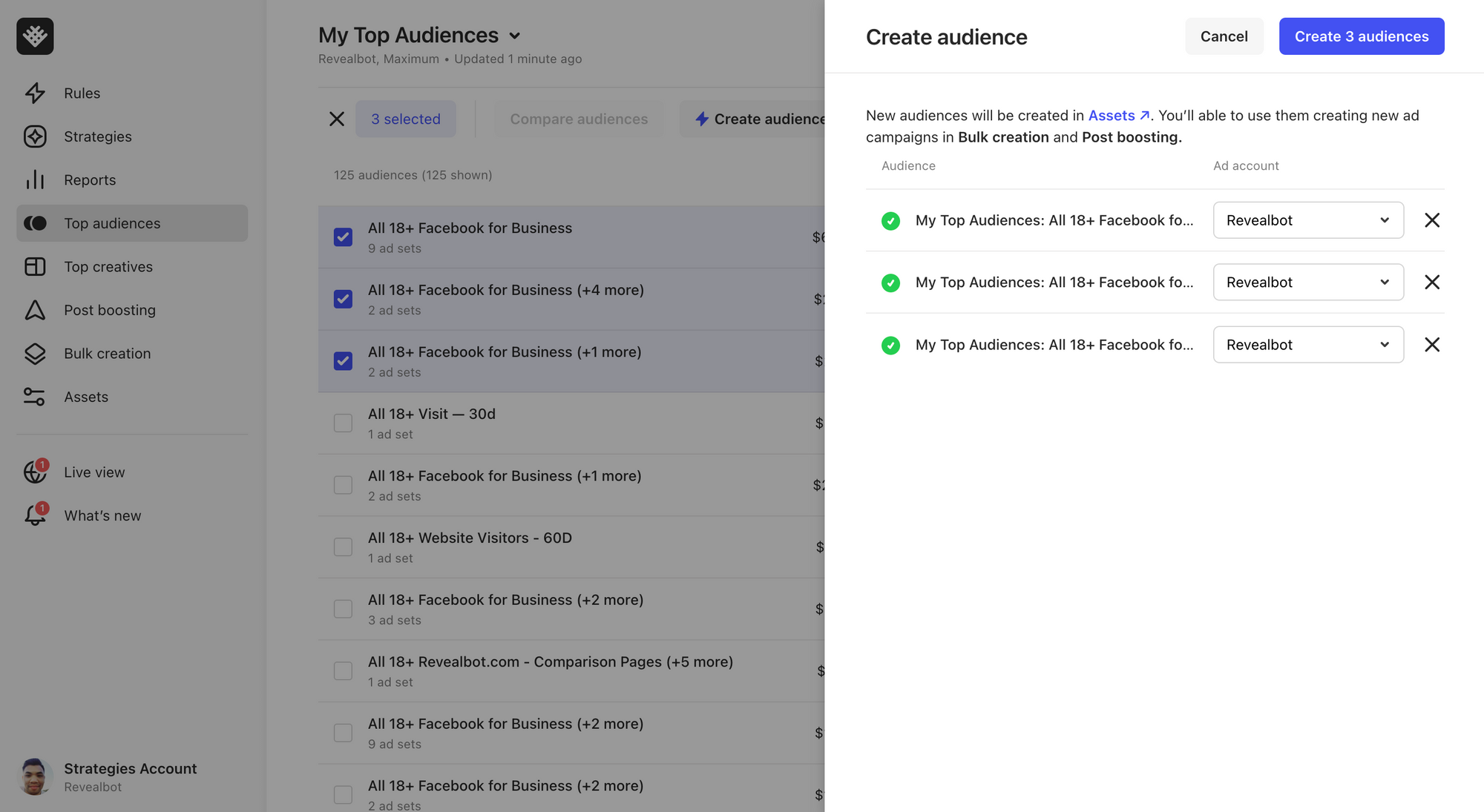 The custom audience creation feature interface