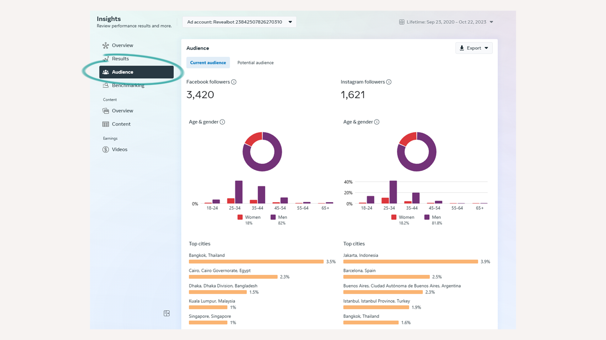 Click on audience to see the Facebook audience insights tool